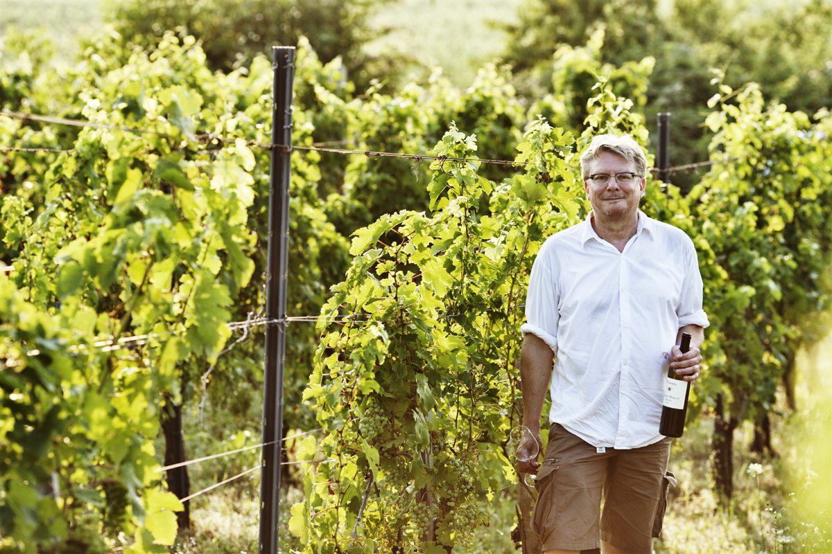 Horst Hummel im Weinberg